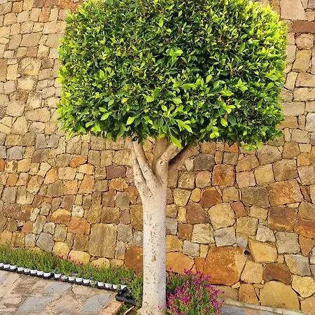 In Marbella, Eagles Village. La Quinta. דירה *